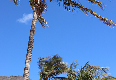 Playa de las Teresitas